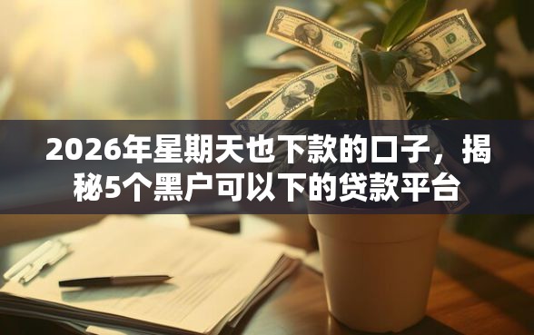2026年星期天也下款的口子，揭秘5个黑户可以下的贷款平台