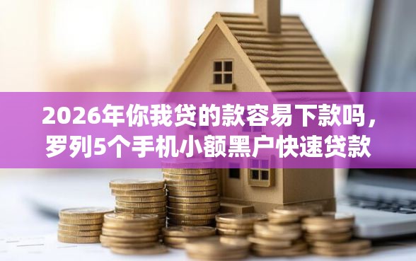 2026年你我贷的款容易下款吗，罗列5个手机小额黑户快速贷款app