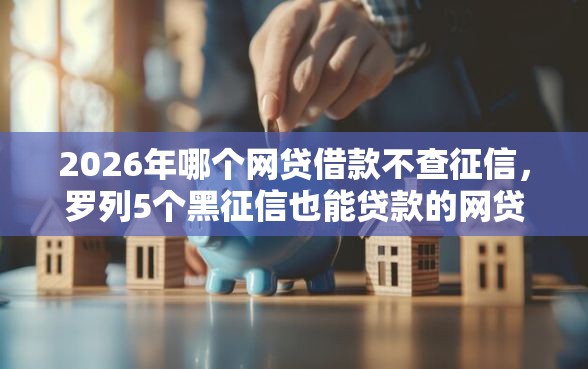 2026年哪个网贷借款不查征信，罗列5个黑征信也能贷款的网贷口子