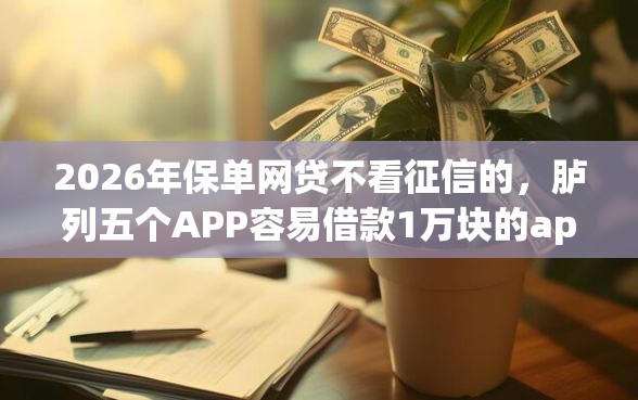 2026年保单网贷不看征信的，胪列五个APP容易借款1万块的app