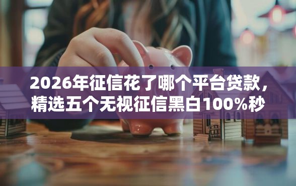 2026年征信花了哪个平台贷款，精选五个无视征信黑白100%秒下网贷口子