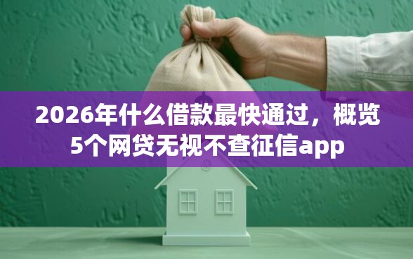 2026年什么借款最快通过，概览5个网贷无视不查征信app