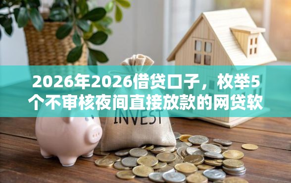 2026年2026借贷口子，枚举5个不审核夜间直接放款的网贷软件