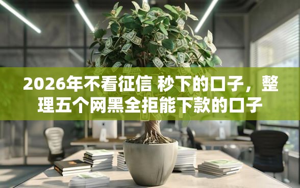 2026年不看征信 秒下的口子，整理五个网黑全拒能下款的口子