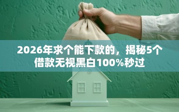 2026年求个能下款的，揭秘5个借款无视黑白100%秒过