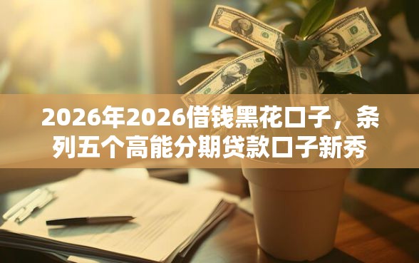 2026年2026借钱黑花口子，条列五个高能分期贷款口子新秀