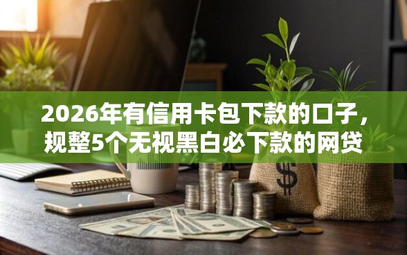 2026年有信用卡包下款的口子，规整5个无视黑白必下款的网贷软件