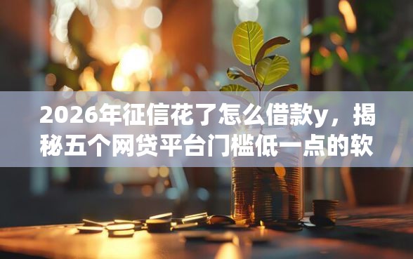 2026年征信花了怎么借款y，揭秘五个网贷平台门槛低一点的软件