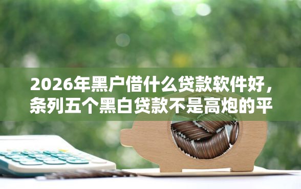 2026年黑户借什么贷款软件好，条列五个黑白贷款不是高炮的平台