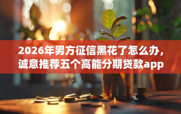 2026年男方征信黑花了怎么办，诚意推荐五个高能分期贷款app新秀