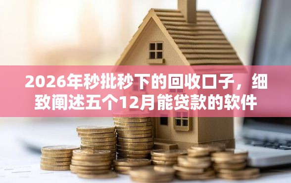 2026年秒批秒下的回收口子，细致阐述五个12月能贷款的软件
