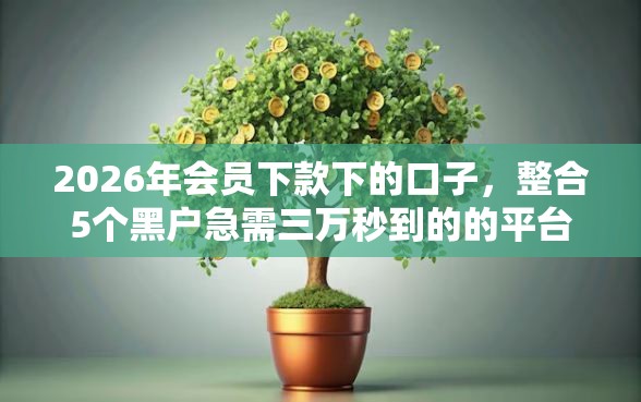 2026年会员下款下的口子，整合5个黑户急需三万秒到的的平台