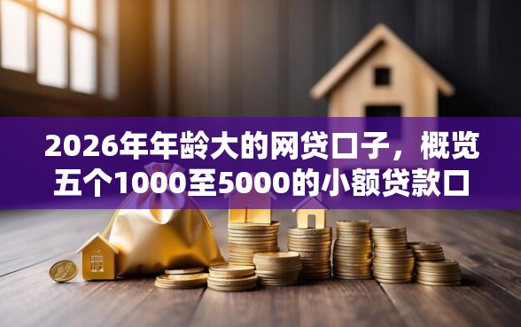 2026年年龄大的网贷口子，概览五个1000至5000的小额贷款口子