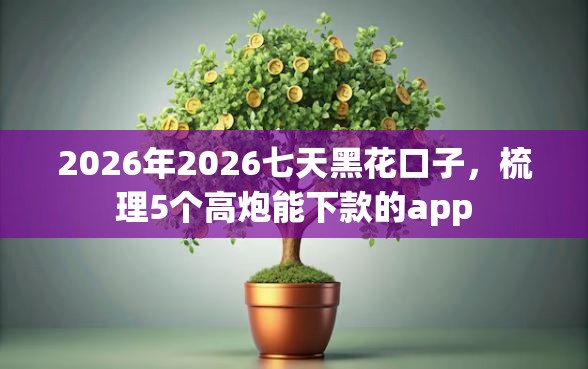 2026年2026七天黑花口子，梳理5个高炮能下款的app