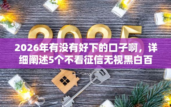 2026年有没有好下的口子啊，详细阐述5个不看征信无视黑白百分百下款平台