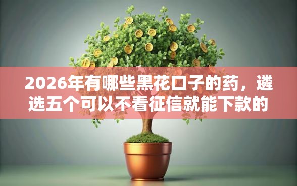2026年有哪些黑花口子的药，遴选五个可以不看征信就能下款的软件
