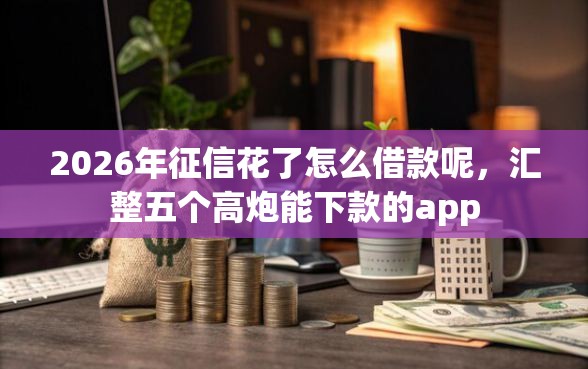 2026年征信花了怎么借款呢，汇整五个高炮能下款的app