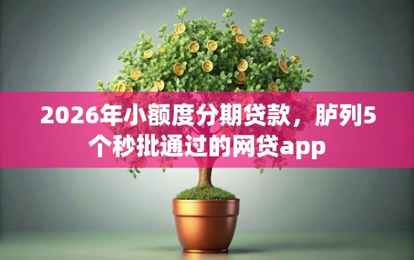 2026年小额度分期贷款，胪列5个秒批通过的网贷app