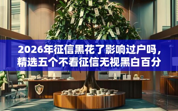 2026年征信黑花了影响过户吗，精选五个不看征信无视黑白百分百下款网贷口子