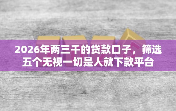 2026年两三千的贷款口子，筛选五个无视一切是人就下款平台