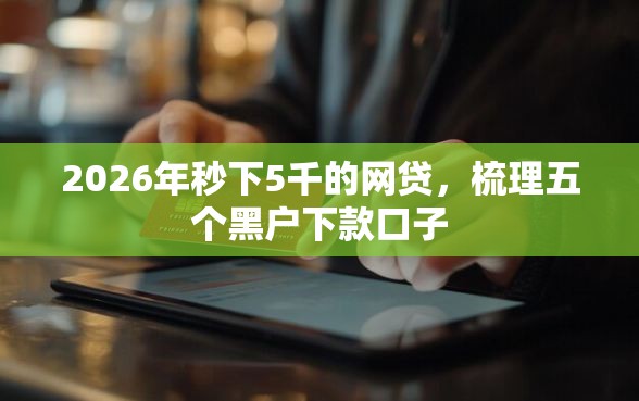 2026年秒下5千的网贷，梳理五个黑户下款口子