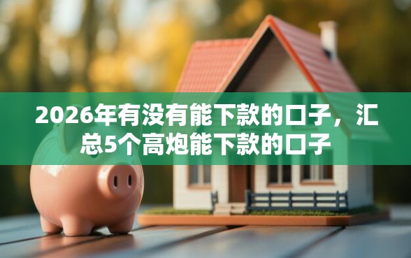 2026年有没有能下款的口子，汇总5个高炮能下款的口子