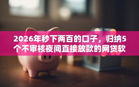 2026年秒下两百的口子，归纳5个不审核夜间直接放款的网贷软件