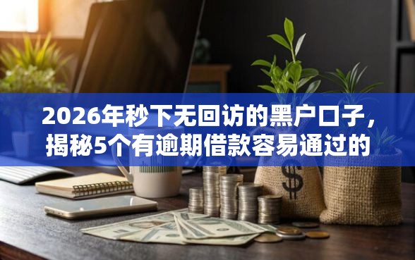 2026年秒下无回访的黑户口子，揭秘5个有逾期借款容易通过的口子