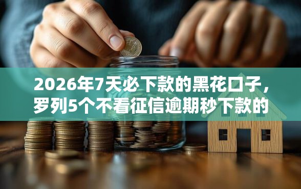 2026年7天必下款的黑花口子，罗列5个不看征信逾期秒下款的贷款