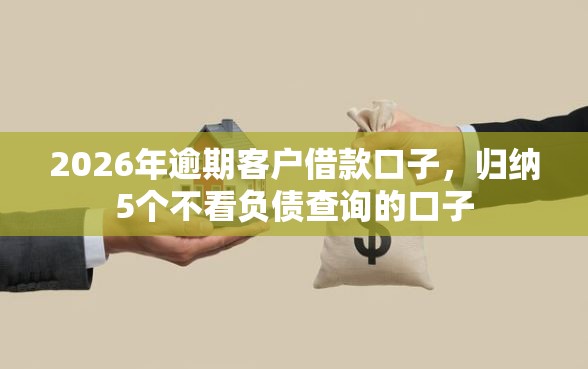 2026年逾期客户借款口子，归纳5个不看负债查询的口子