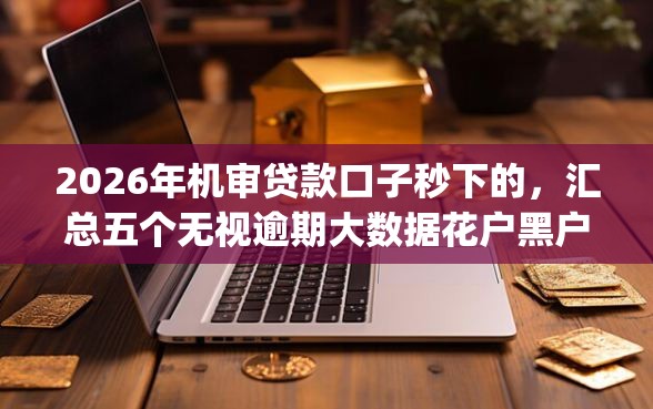 2026年机审贷款口子秒下的，汇总五个无视逾期大数据花户黑户app
