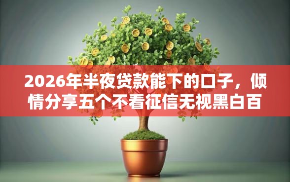 2026年半夜贷款能下的口子，倾情分享五个不看征信无视黑白百分百下款网贷口子