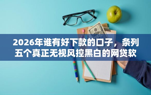2026年谁有好下款的口子，条列五个真正无视风控黑白的网贷软件