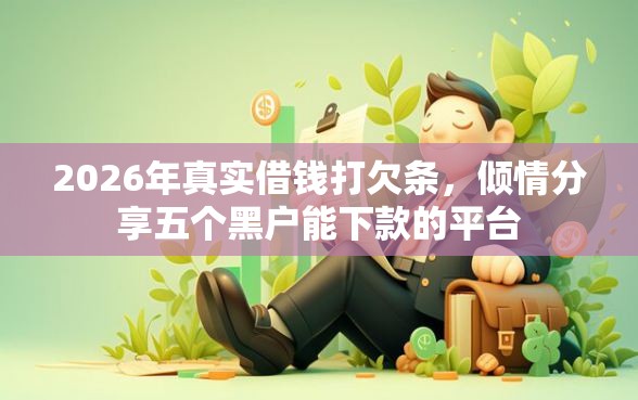 2026年真实借钱打欠条，倾情分享五个黑户能下款的平台