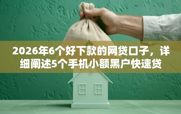 2026年6个好下款的网贷口子，详细阐述5个手机小额黑户快速贷款口子
