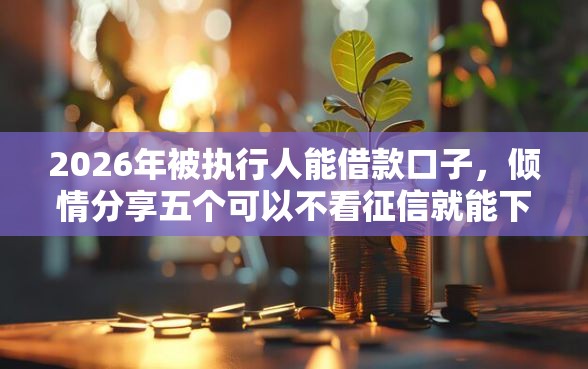 2026年被执行人能借款口子，倾情分享五个可以不看征信就能下款的平台