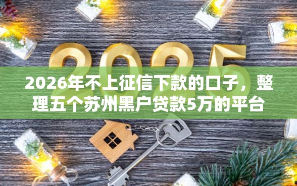2026年不上征信下款的口子，整理五个苏州黑户贷款5万的平台