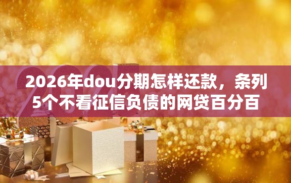 2026年dou分期怎样还款，条列5个不看征信负债的网贷百分百下款口子