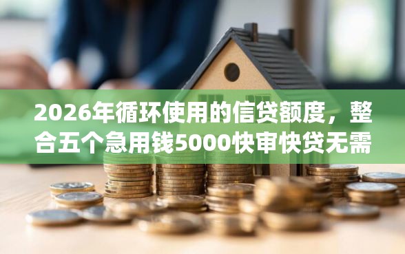 2026年循环使用的信贷额度，整合五个急用钱5000快审快贷无需征信app