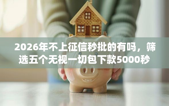 2026年不上征信秒批的有吗，筛选五个无视一切包下款5000秒下款的app
