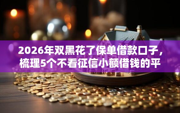 2026年双黑花了保单借款口子，梳理5个不看征信小额借钱的平台
