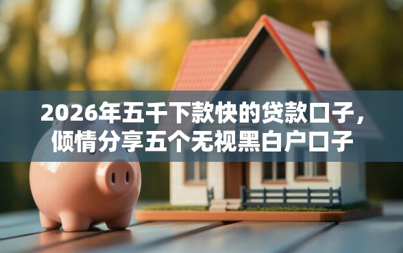 2026年五千下款快的贷款口子，倾情分享五个无视黑白户口子