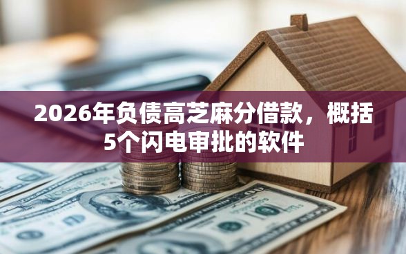 2026年负债高芝麻分借款，概括5个闪电审批的软件