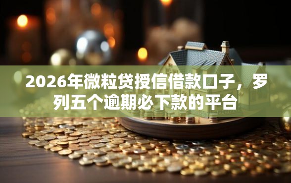 2026年微粒贷授信借款口子，罗列五个逾期必下款的平台