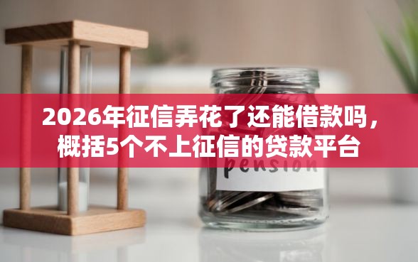 2026年征信弄花了还能借款吗，概括5个不上征信的贷款平台