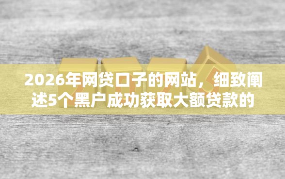 2026年网贷口子的网站，细致阐述5个黑户成功获取大额贷款的口子