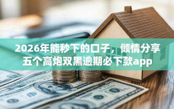 2026年能秒下的口子，倾情分享五个高炮双黑逾期必下款app