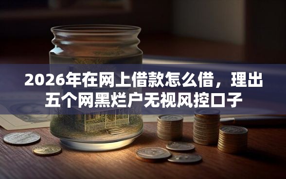 2026年在网上借款怎么借，理出五个网黑烂户无视风控口子