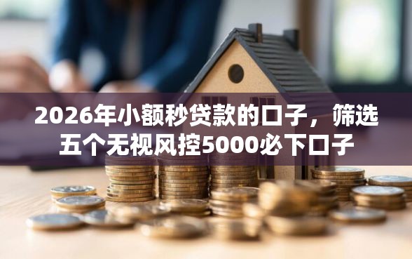 2026年小额秒贷款的口子，筛选五个无视风控5000必下口子