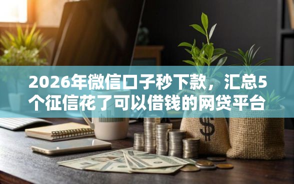 2026年微信口子秒下款，汇总5个征信花了可以借钱的网贷平台